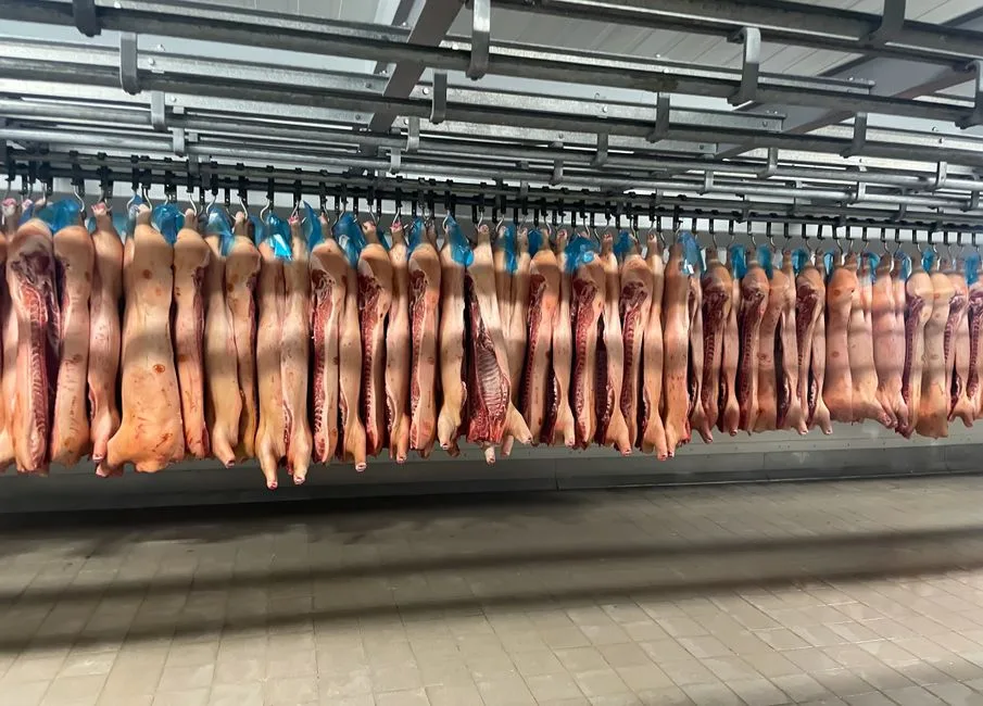 Chaîne du froid : un pilier de la sécurité sanitaire en restauration